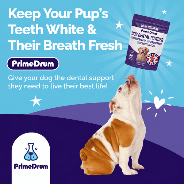 PrimeDrum