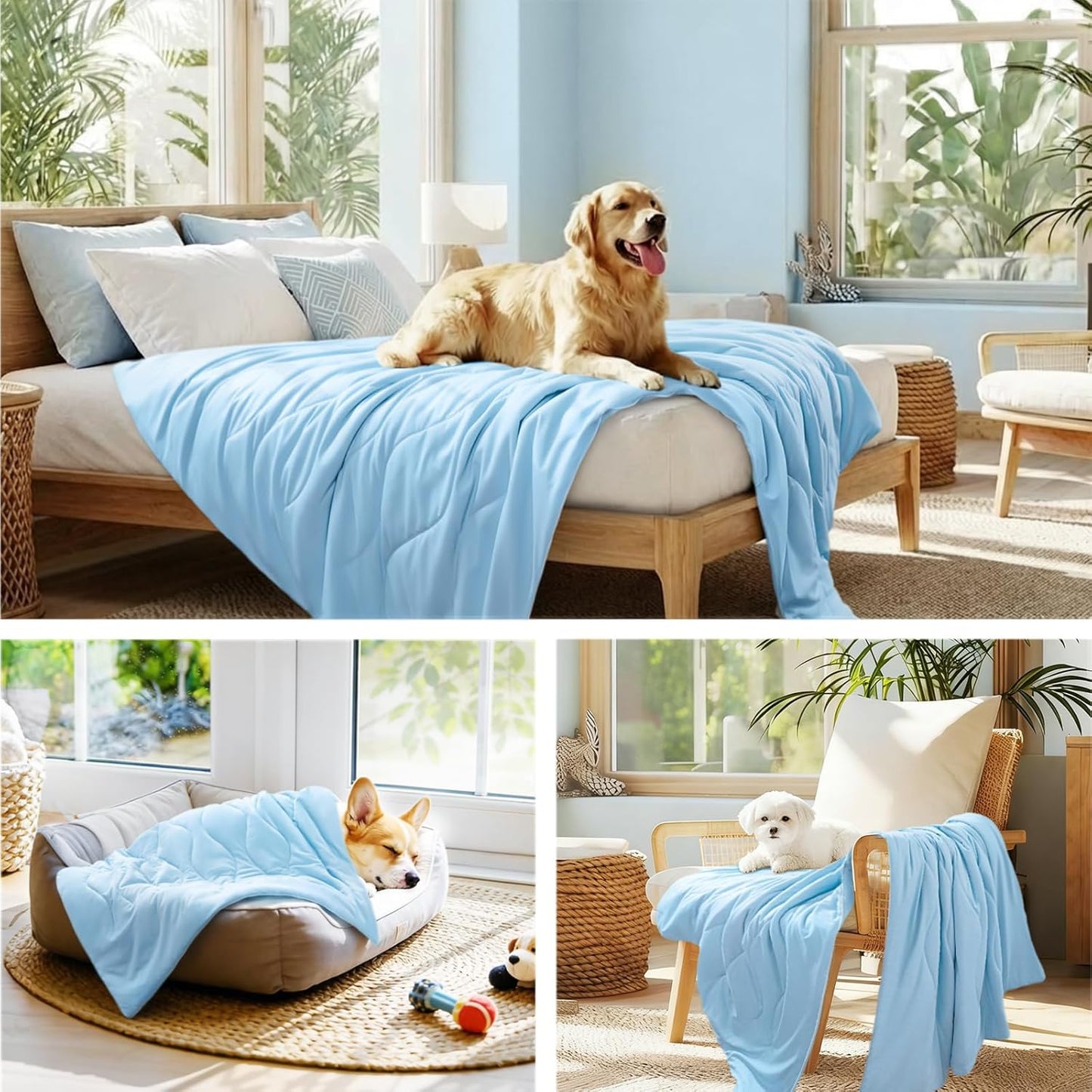 PRIMEDRUM COOLREST — COOLING BLANKET