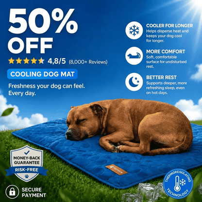CoolRest – More Coolness and Rest for Your Dog
