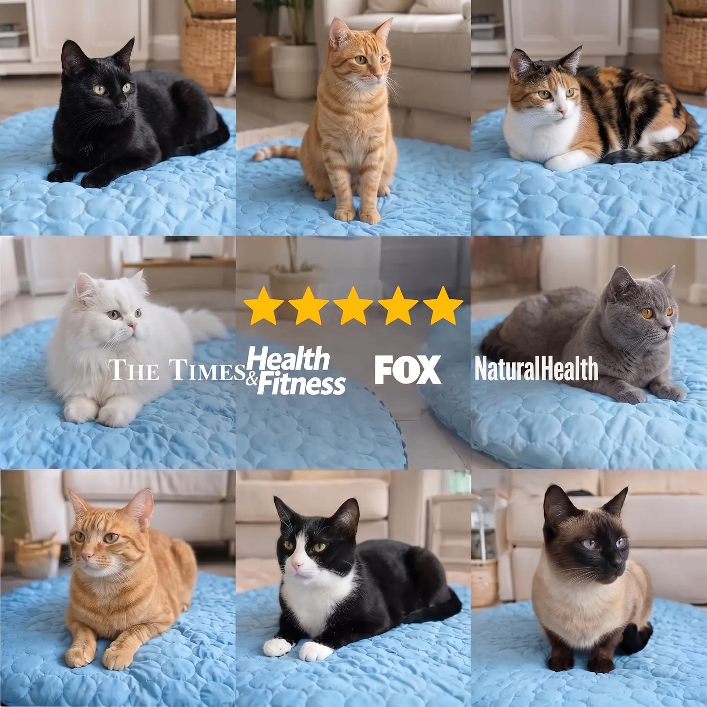 CoolRest – More Coolness and Rest for Your Cat