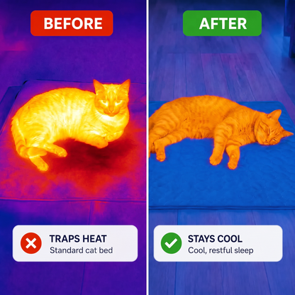CoolRest – More Coolness and Rest for Your Cat