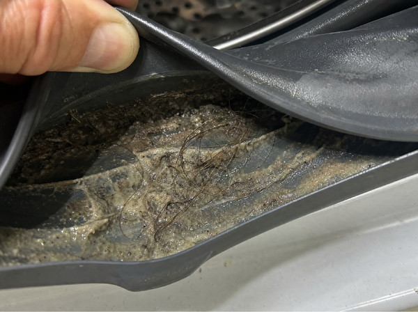 Slimy grey-brown buildup under the rubber door seal